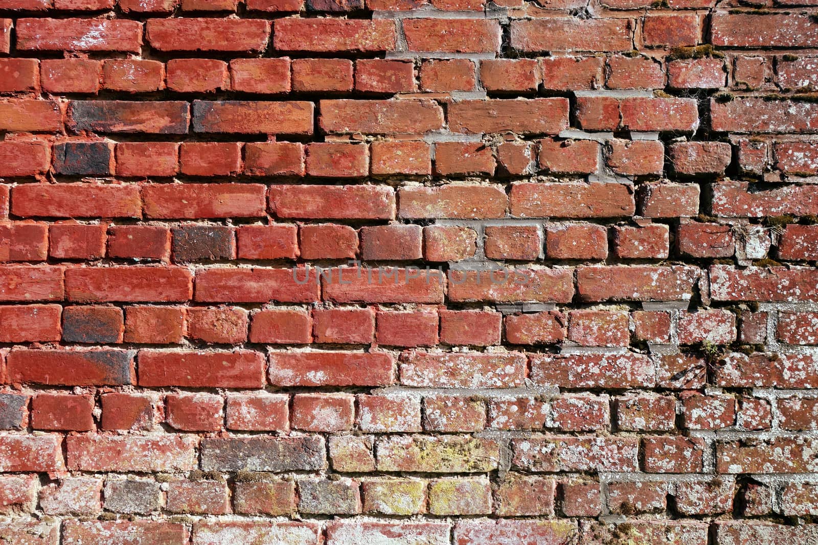 Old orange brick wall texture background. Wallpaper