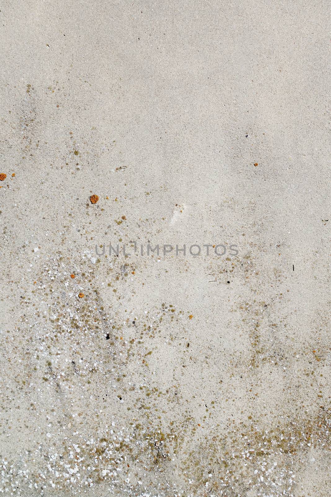 Concrete wall detail texture background by daboost