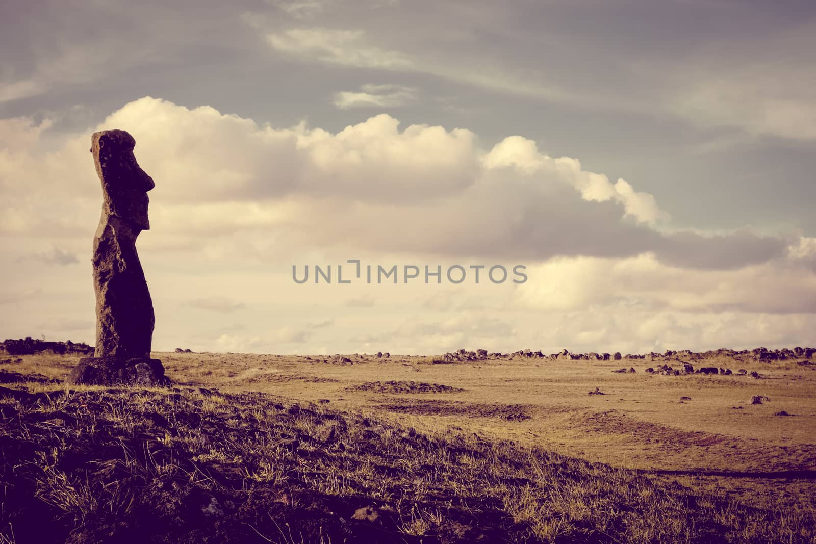 Moai statue, ahu akapu, easter island, Chile