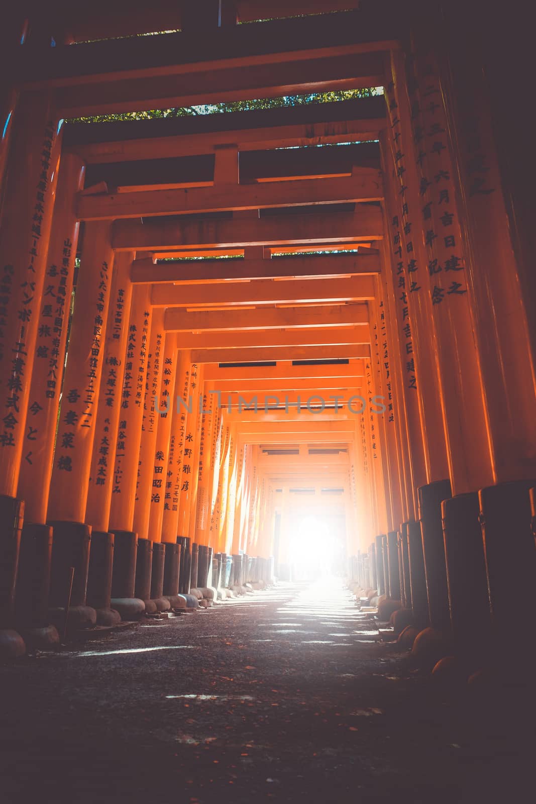 Fushimi Inari Taisha torii, Kyoto, Japan by daboost