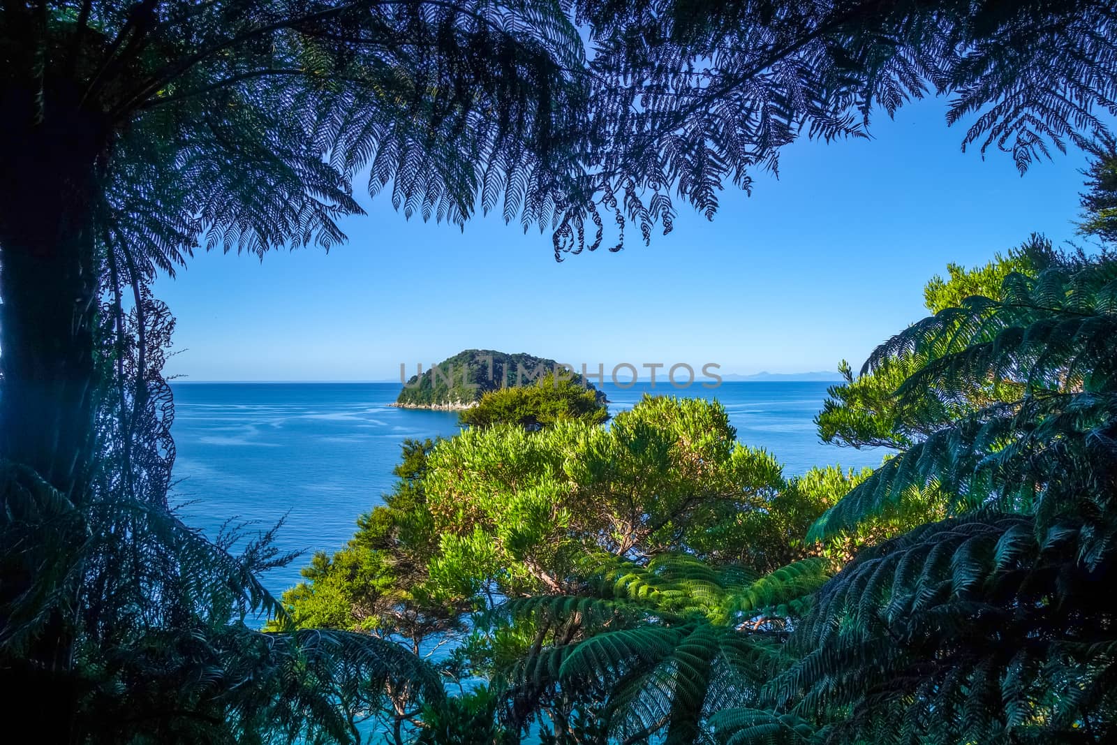 See view from Abel Tasman Coast Track in national park. New Zealand