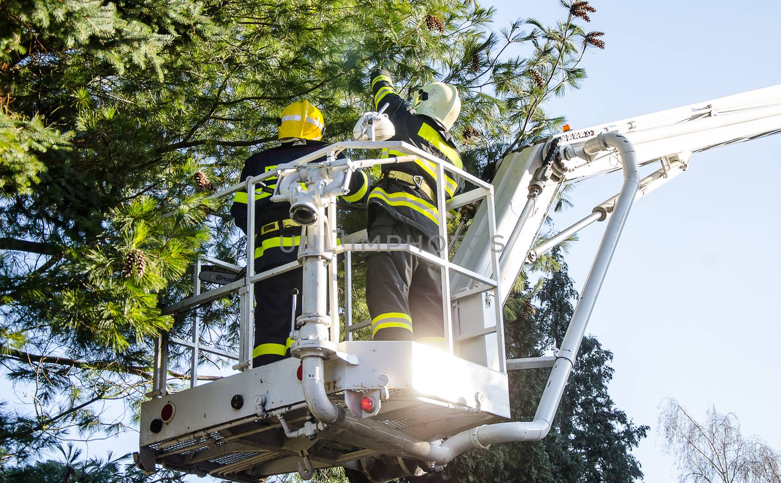 Firefighters in action clear the fallen trees after a windy storm.