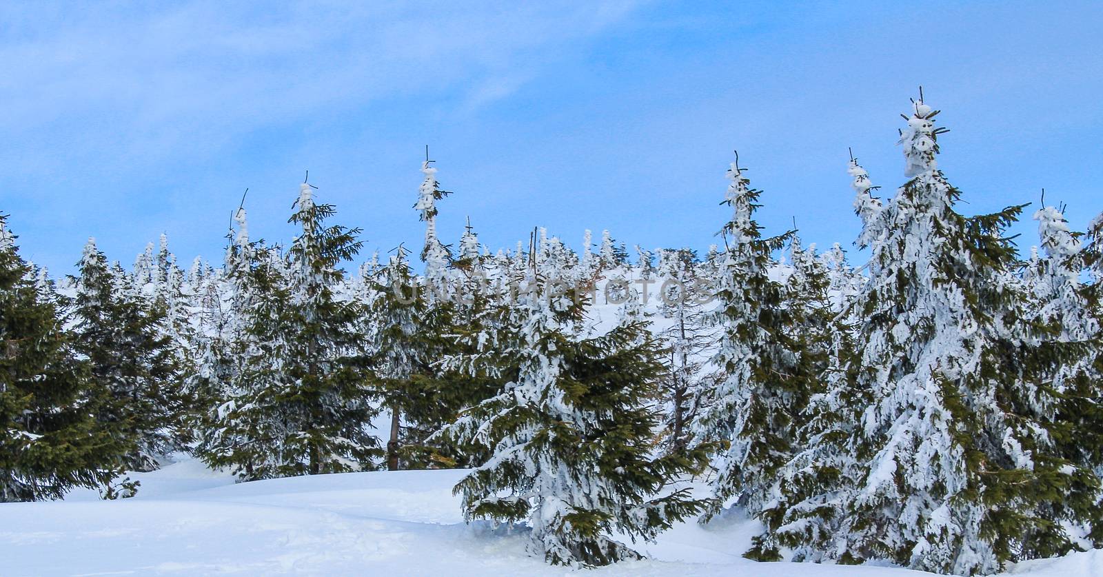Snowy Czech mountain peak in the main ski season.
