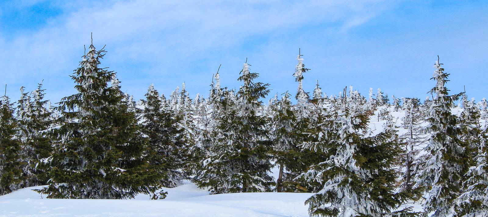 Snowy Czech mountain peak in the main ski season.