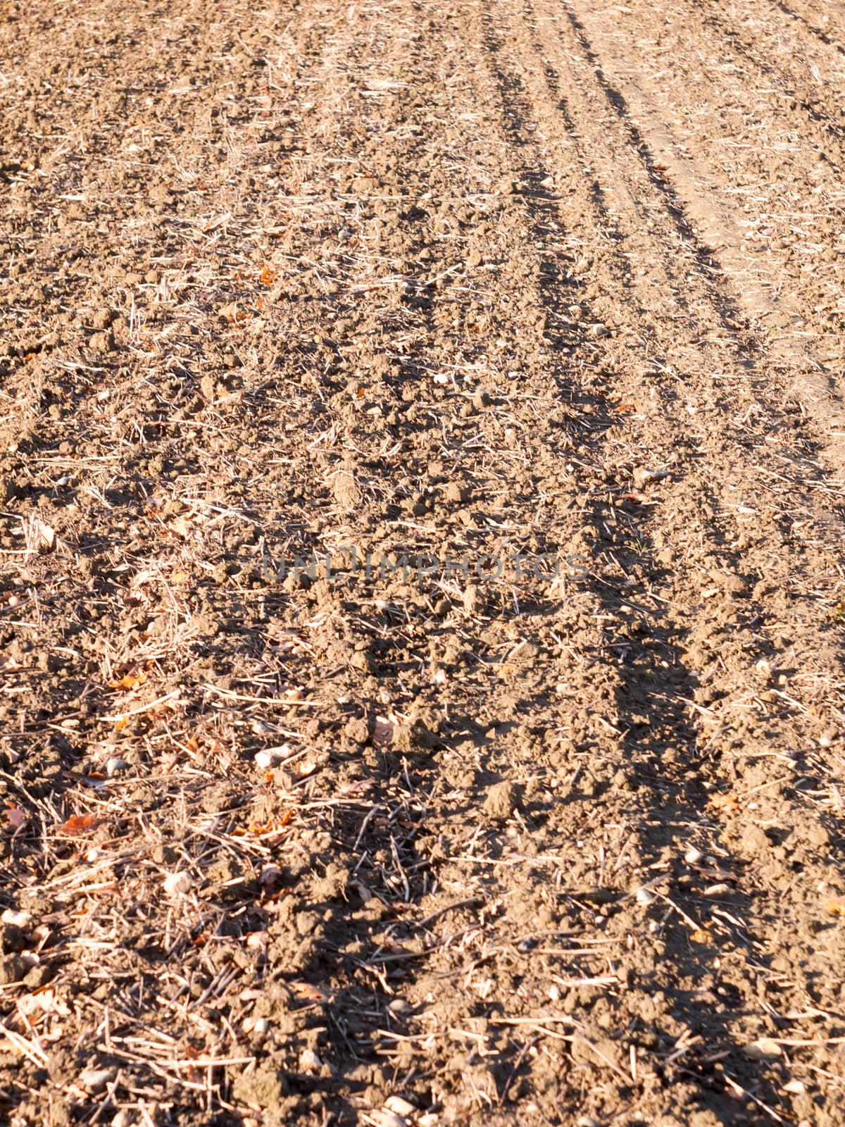 brown ploughed dry autumn farm field space tracks empty space ag by callumrc