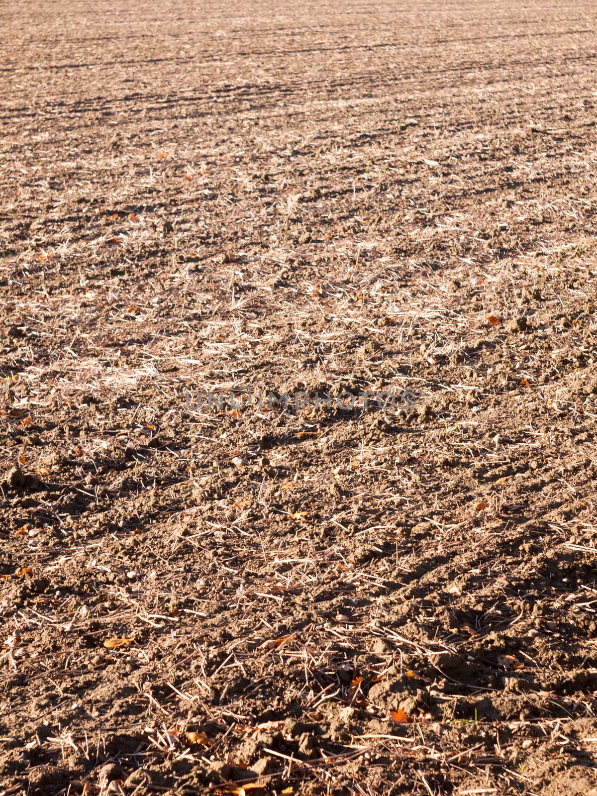 brown ploughed dry autumn farm field space tracks empty space ag by callumrc