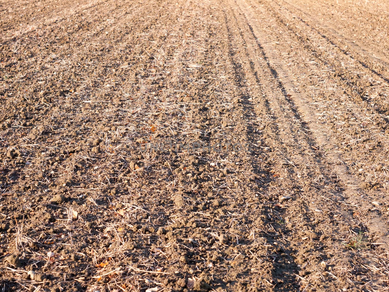 brown ploughed dry autumn farm field space tracks empty space agriculture landscape rows; essex; england; uk