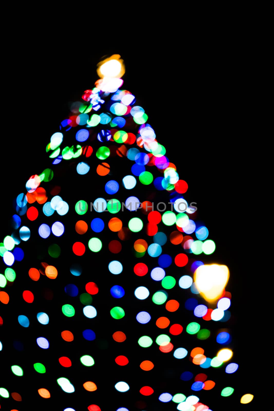 Colorful and vibrant outdoor Christmas tree lights