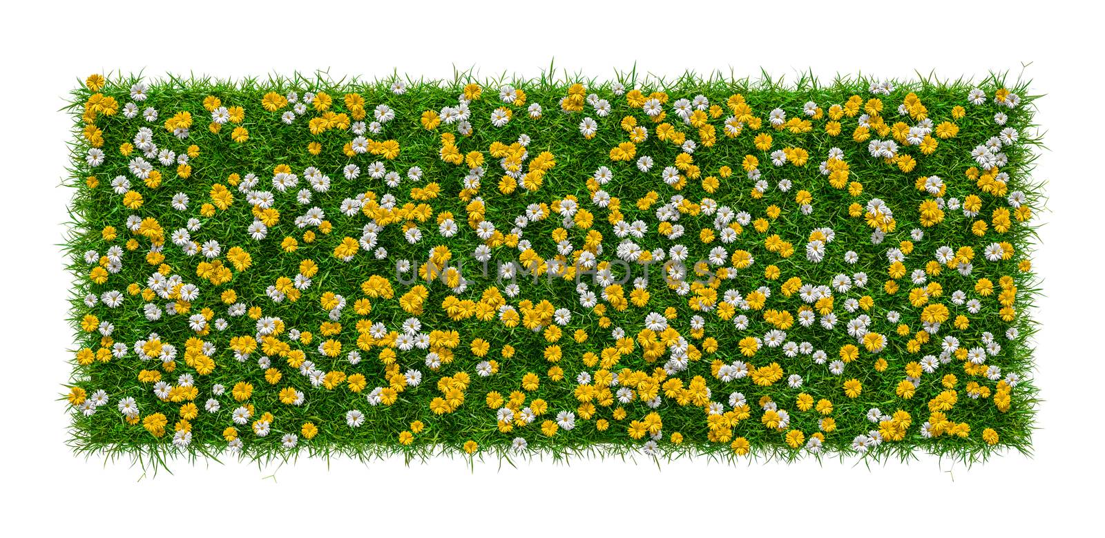 Close-up of grass carpet with flowers by cherezoff