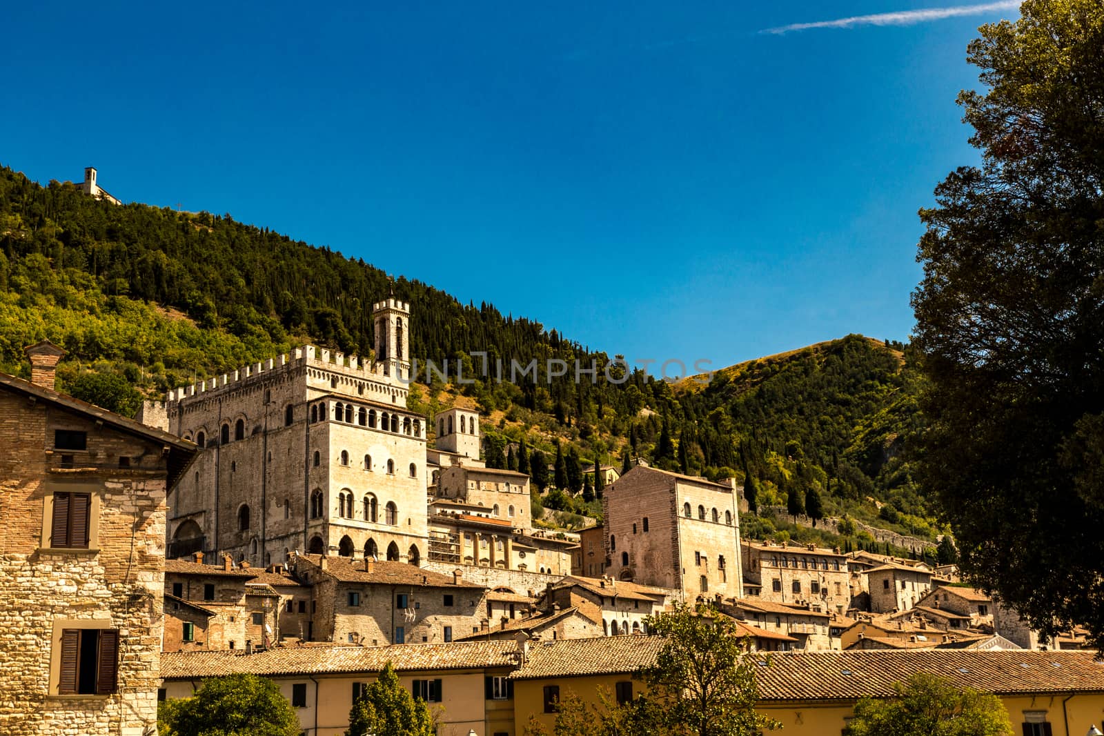 Italy: view of the ducal palace of Gubbio. In the background the wooded forest of Mount Ingino