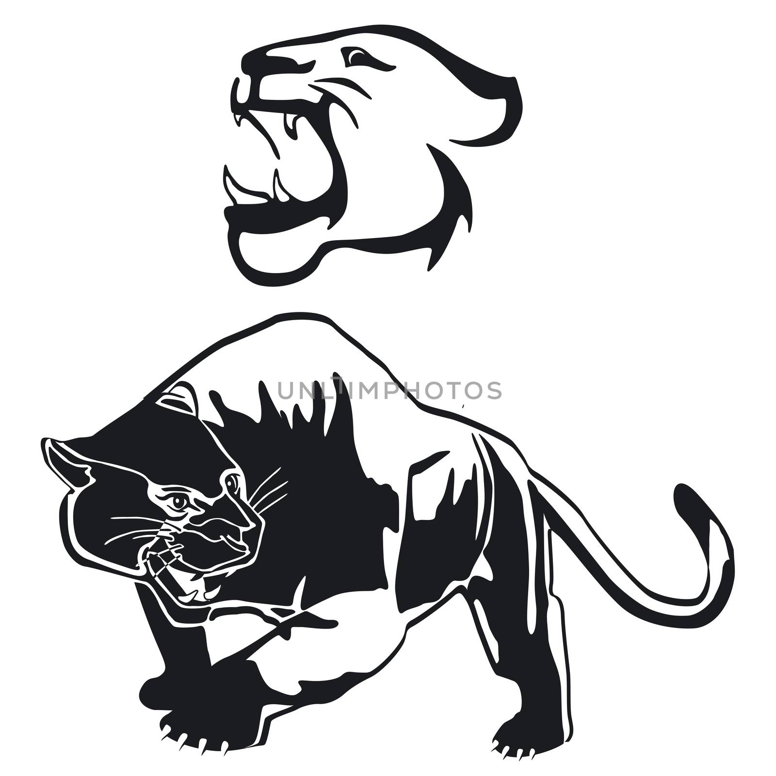 Leopard, panther graphic, illustration by scusi
