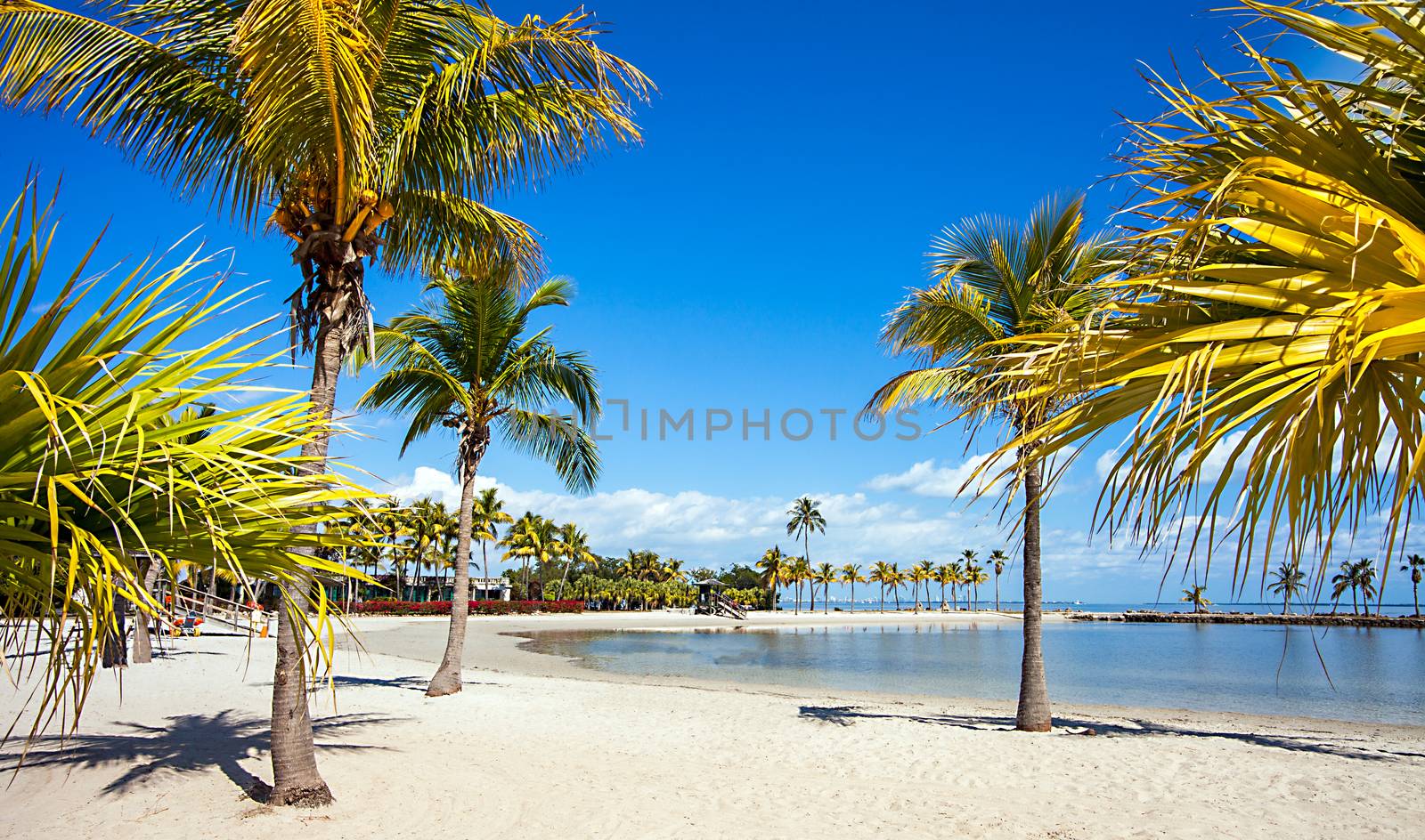 Round Beach in Miami Florida USA by Makeral