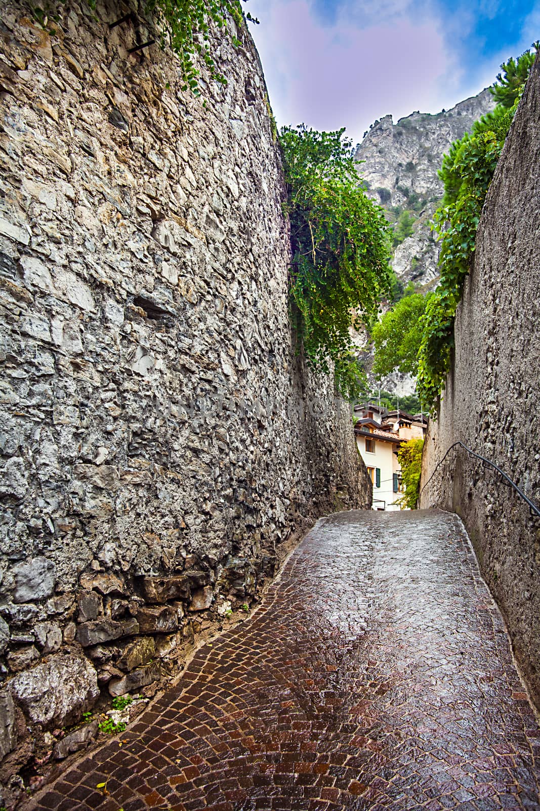 Old town of Limone Lake Garda Italy by Makeral