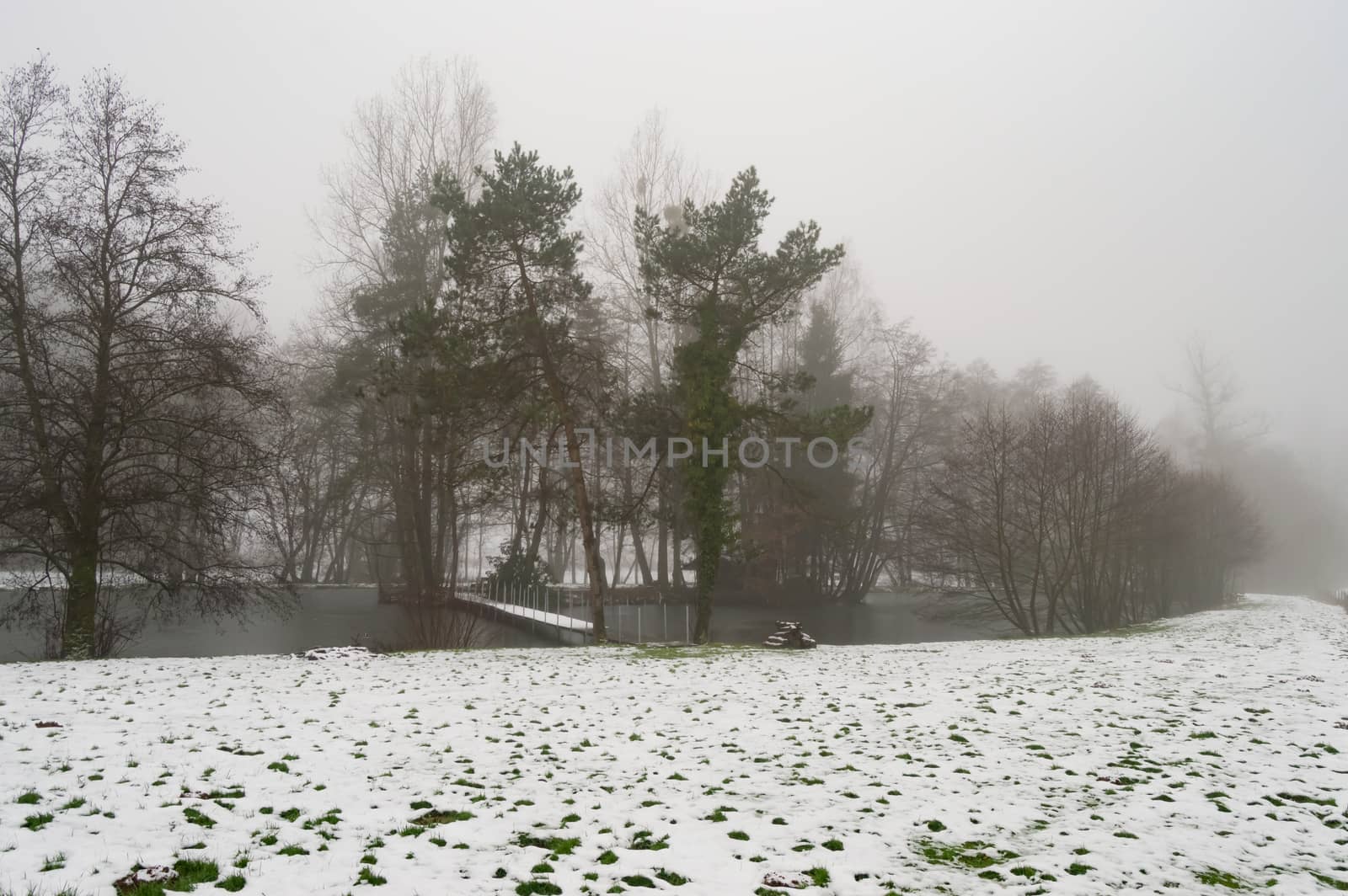 Small pond under the snow and mist in the province of Luxembourg in Belgium