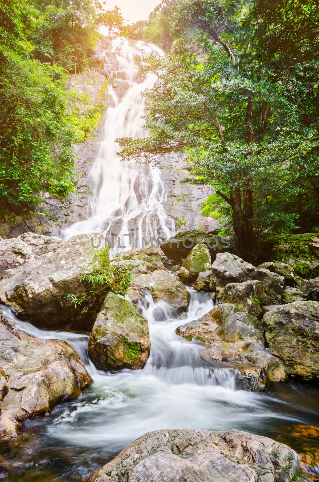 waterfall in deep green forest. by Gamjai