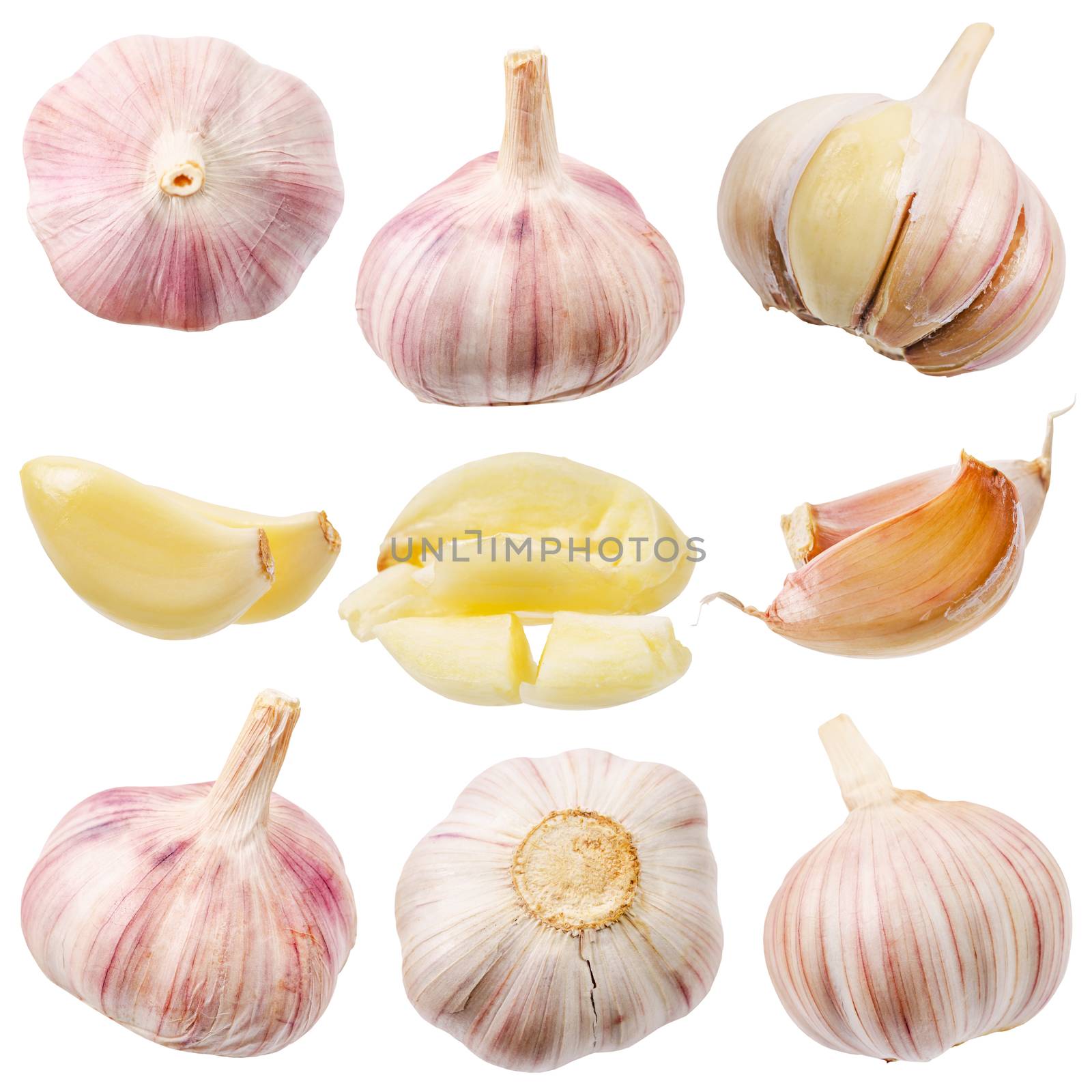 Collection of garlic isolated on white. by Gamjai