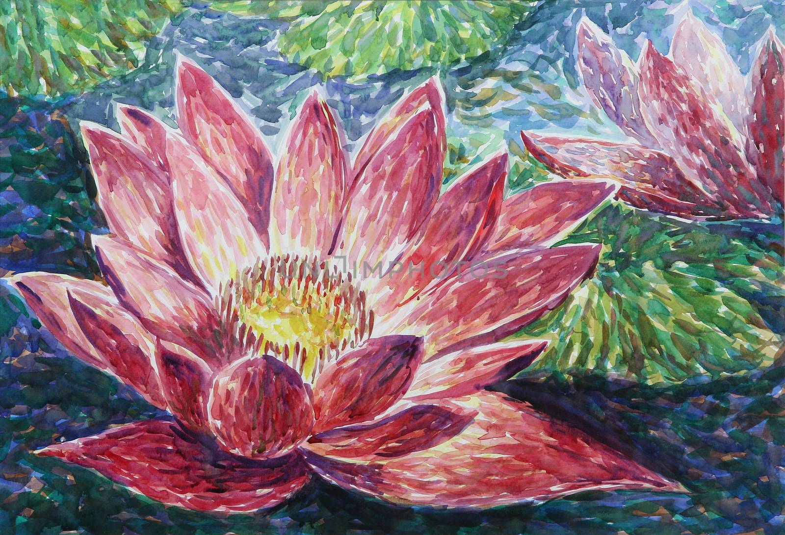 Beautiful red lotus in pond, my watercolor painting on paper