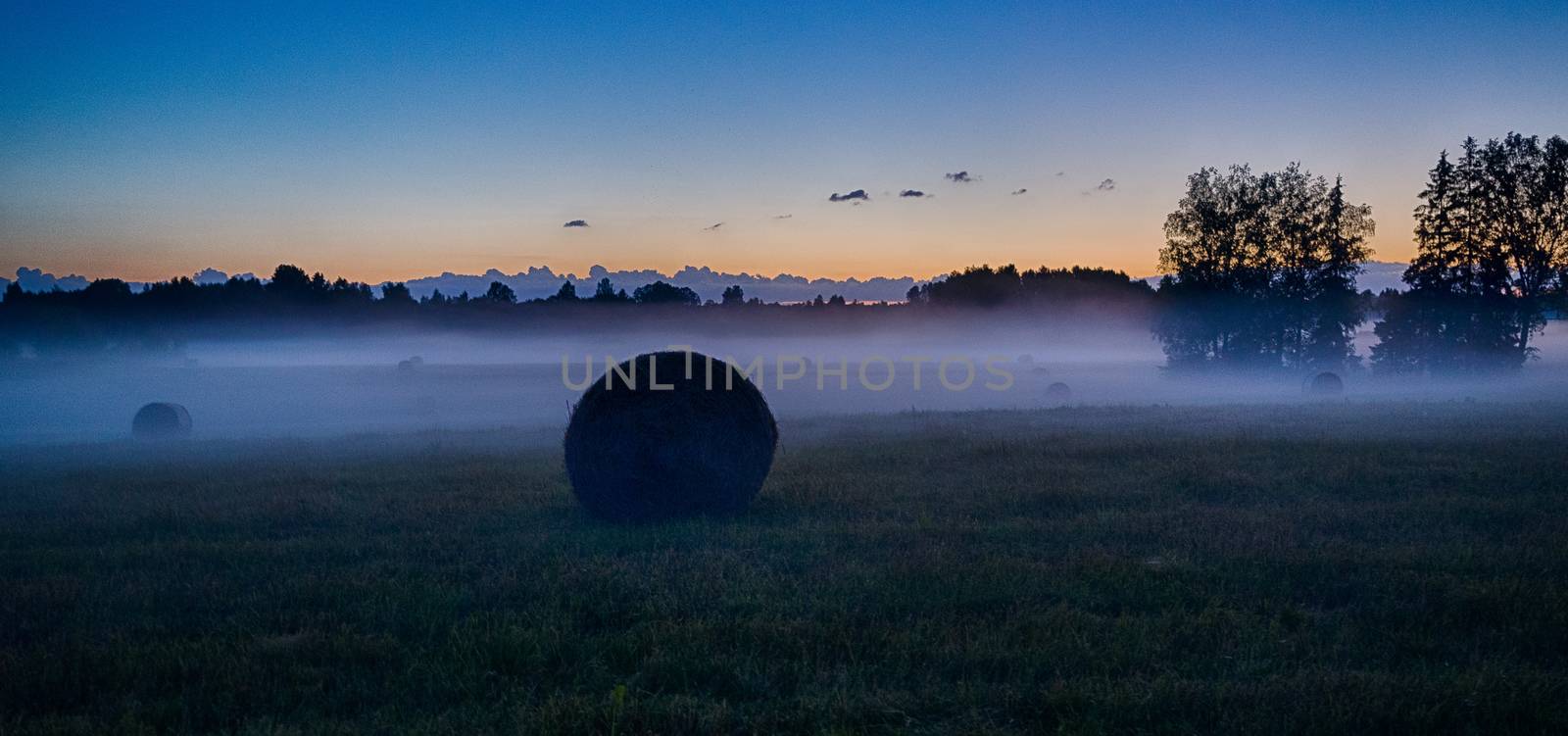 Latvia vidzeme landscape at sunset with fog and mist