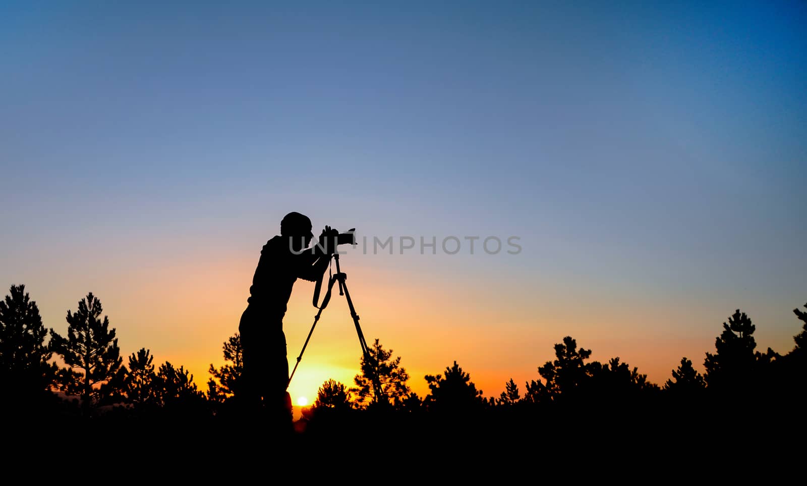 photo shoot in the nature by crazymedia007