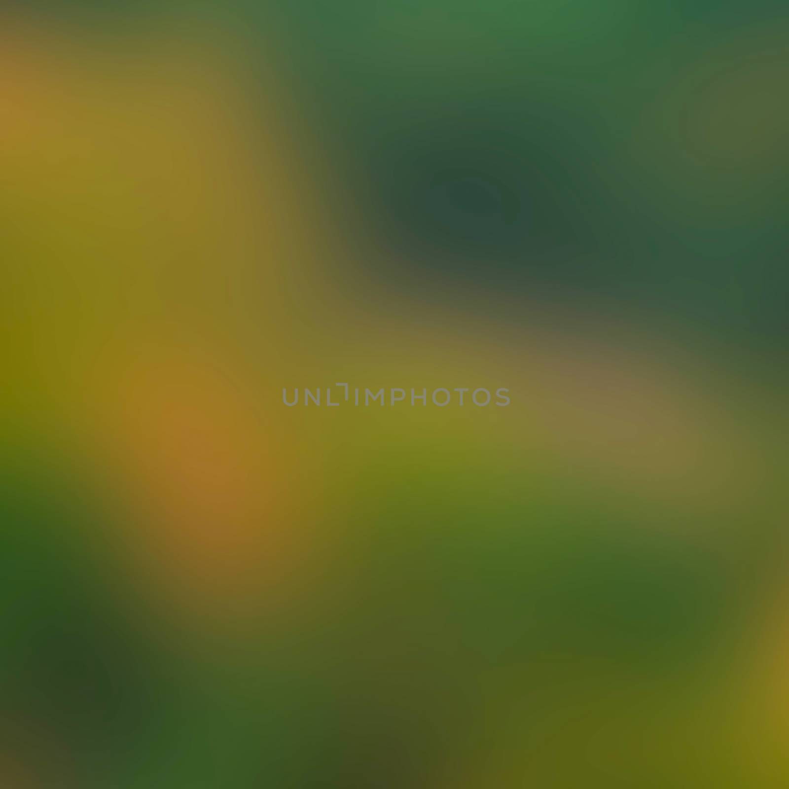 Green abstract blurred background by sengnsp