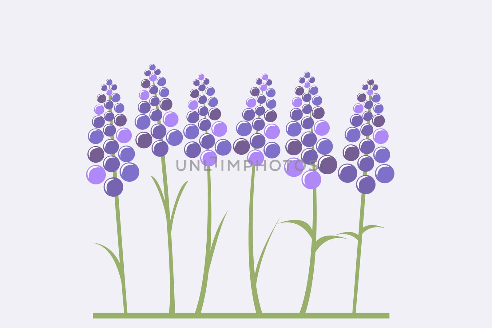 Greeting card with stylized lavender