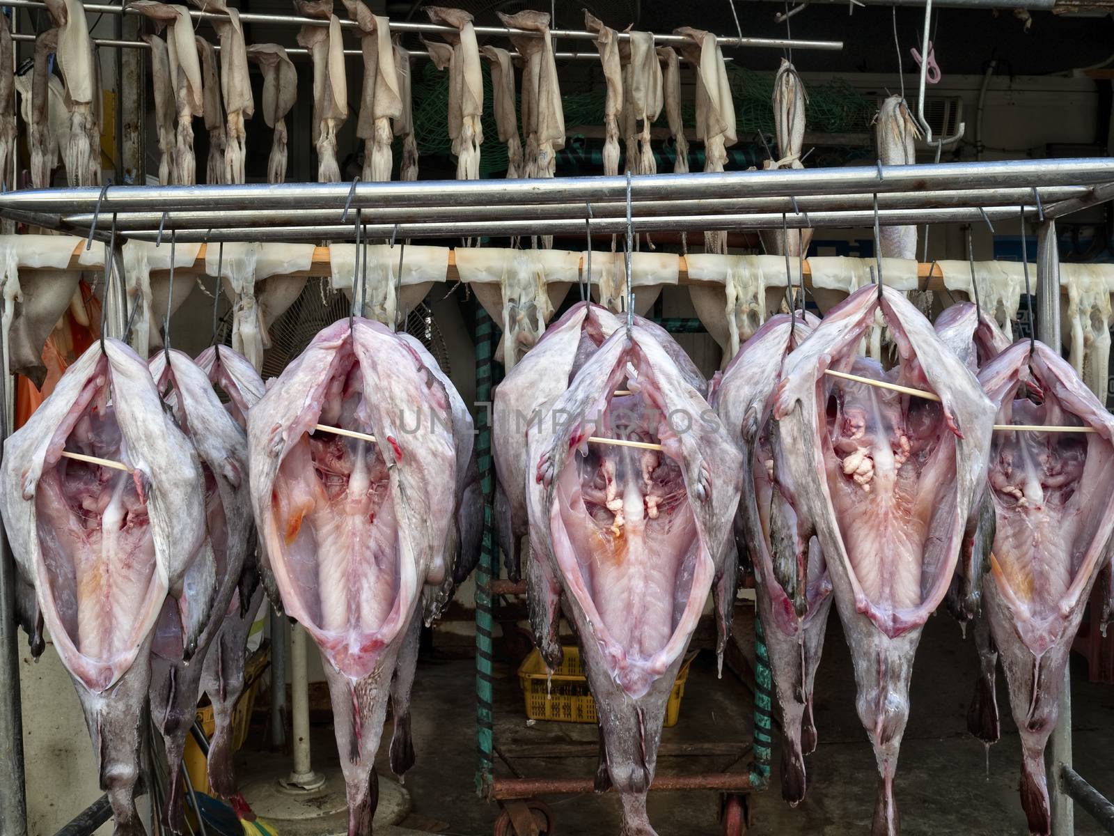 close up of fish hung up to dry for preservation