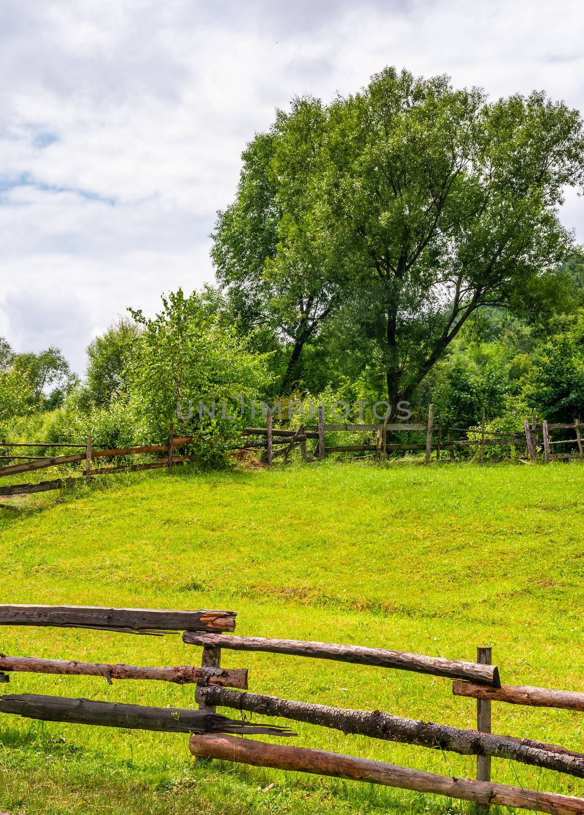 wooden fence on grassy rural field with tree by Pellinni