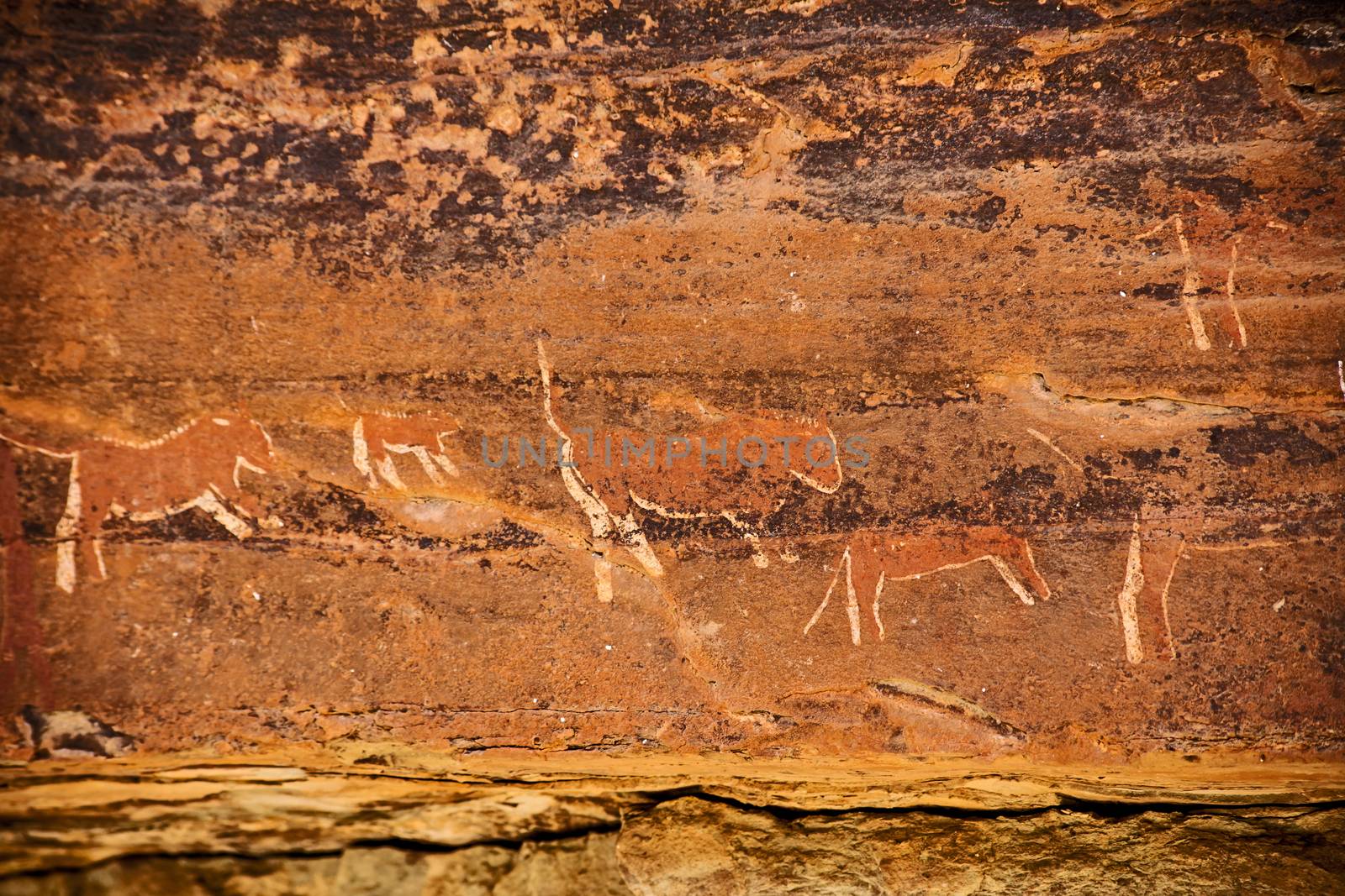 Bushman Rock Art in the "War Cave" near Injisuthi in the Drakensberg South Africa.