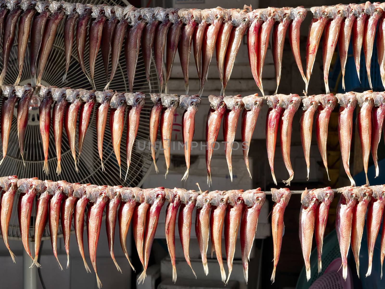 close up of fish hung up to dry for preservation