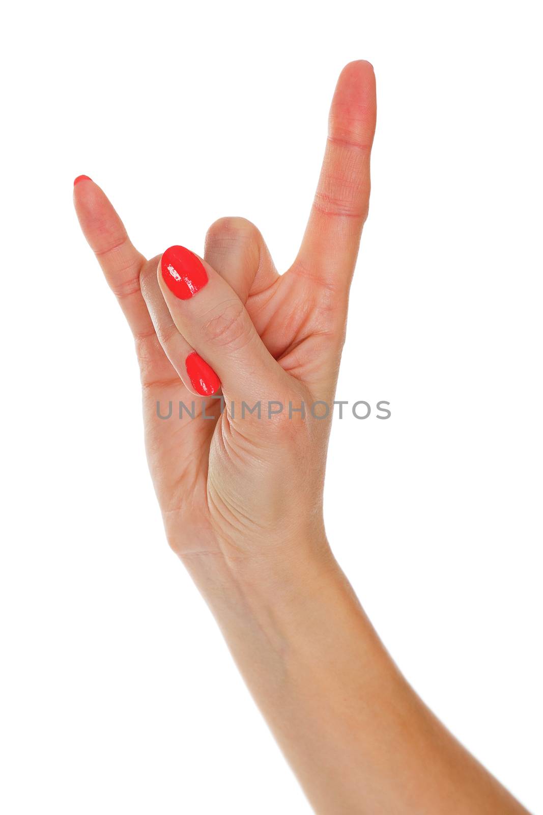 Closeup shot of female hand gesture isolated on white background by Nobilior