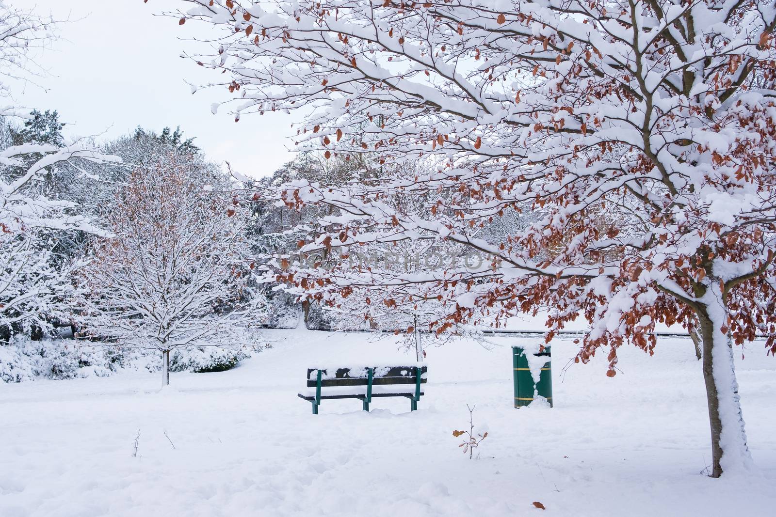 Beautiful view of Grove Park, Harborne covered in snow.