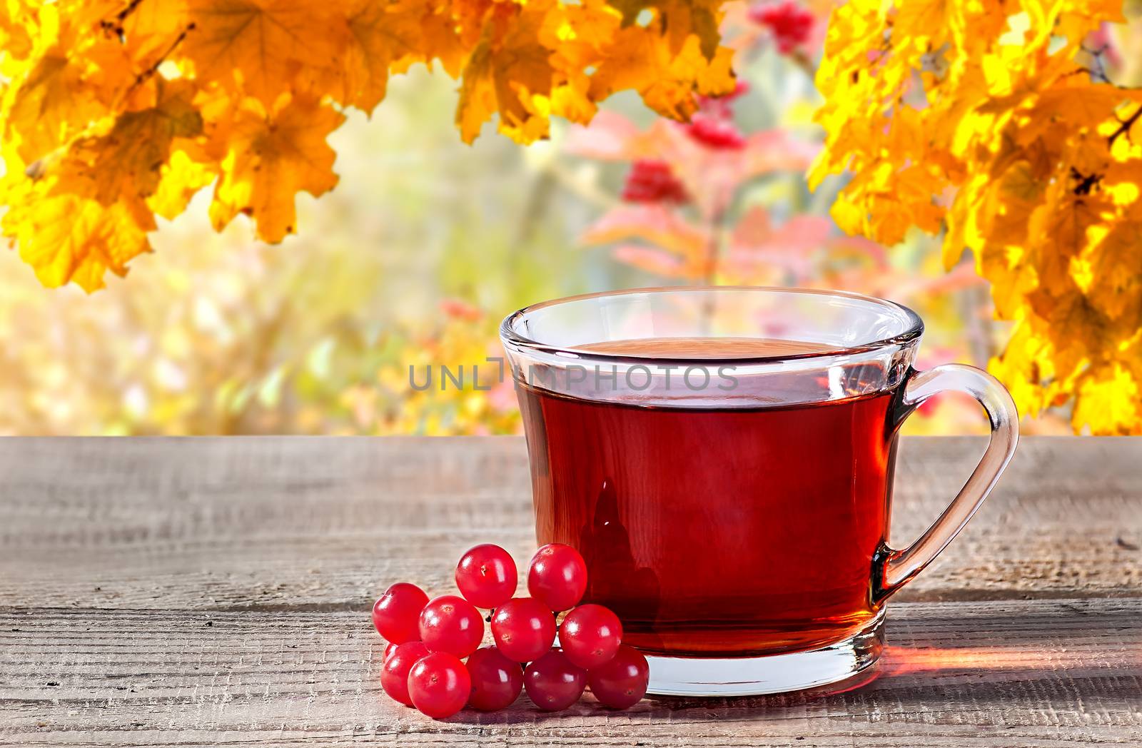 Cup of black tea with viburnum berries by Cipariss