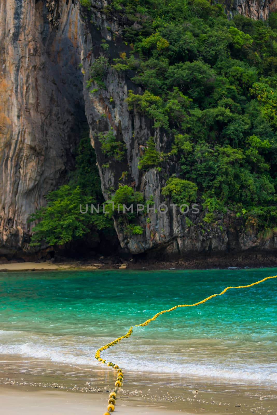 Close-up rock covered with trees in the sea in Thailand close-up by kosmsos111