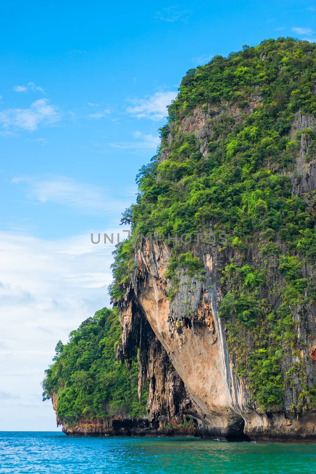 Tree-cliffed rock in the sea close-up by kosmsos111