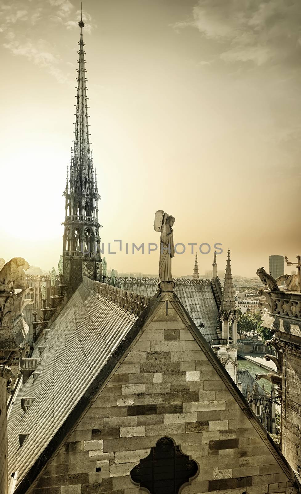 Spire of Notre Dame and aerial view of Paris, France