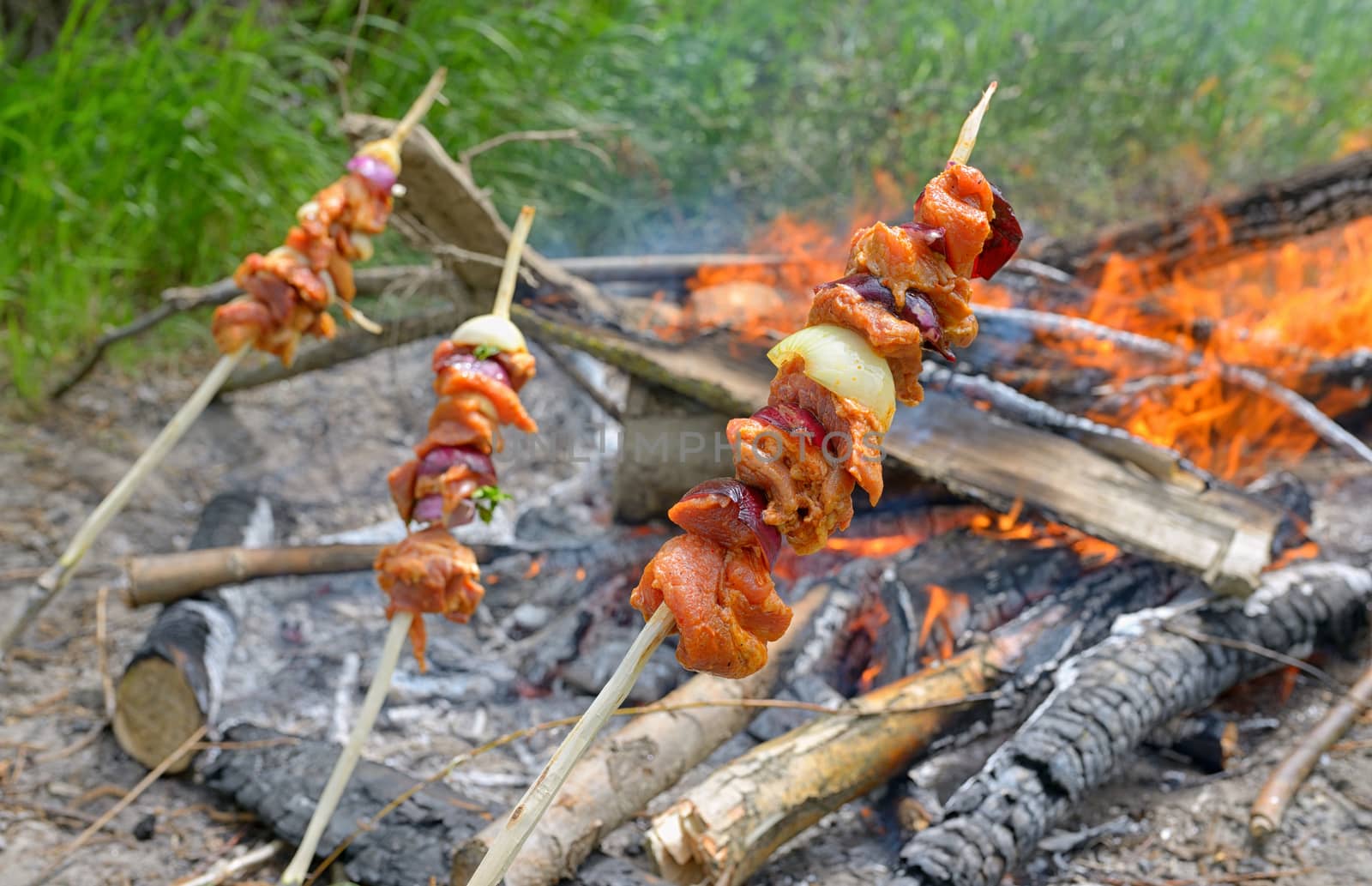 Barbecue sticks above the campfire in forest