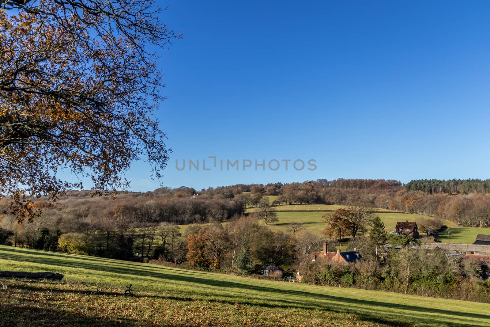 SUSSEX/UK - NOVEMBER 25 : View of Buildings and Farmland in the  by phil_bird