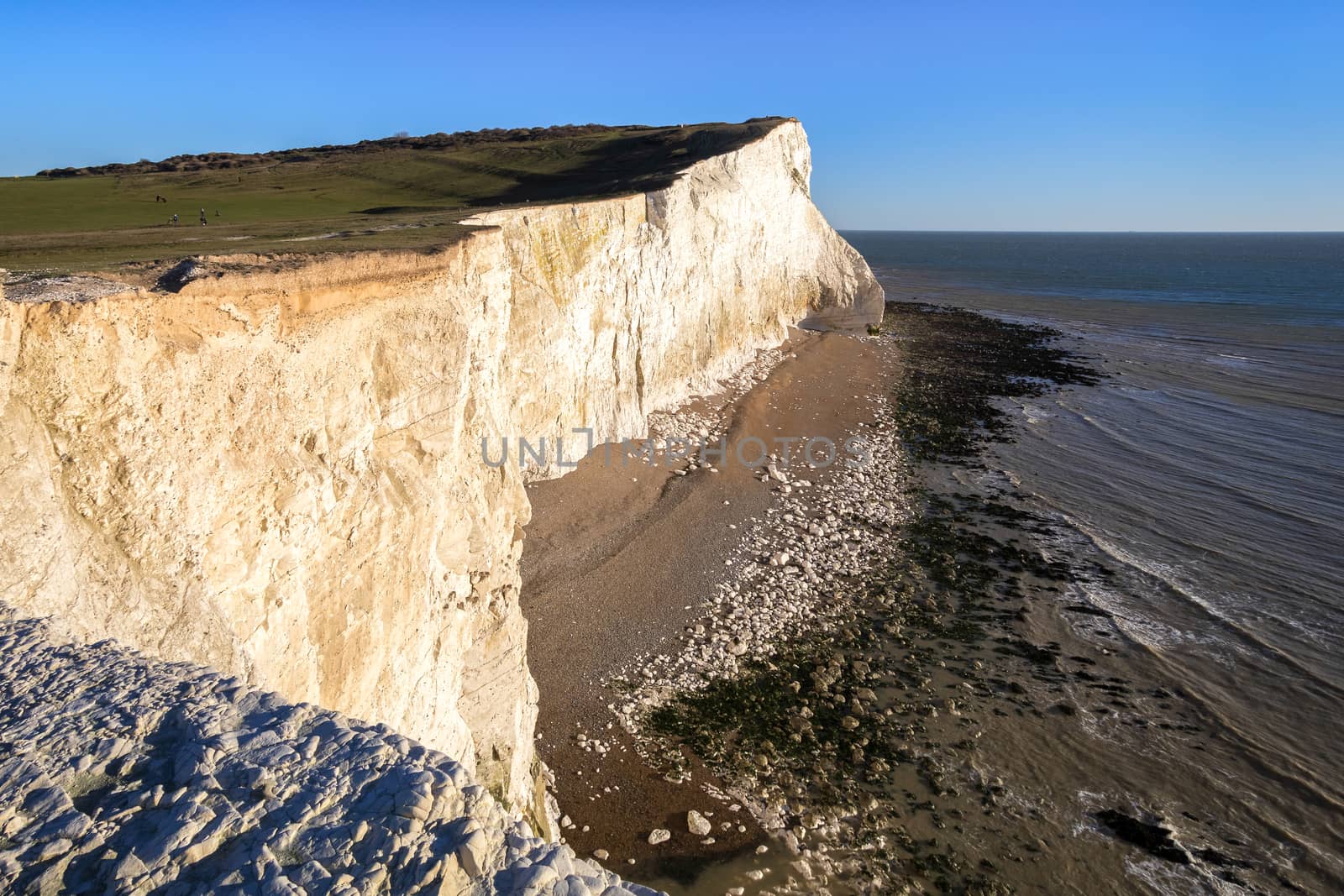 White Cliffs at Seaford Head by phil_bird