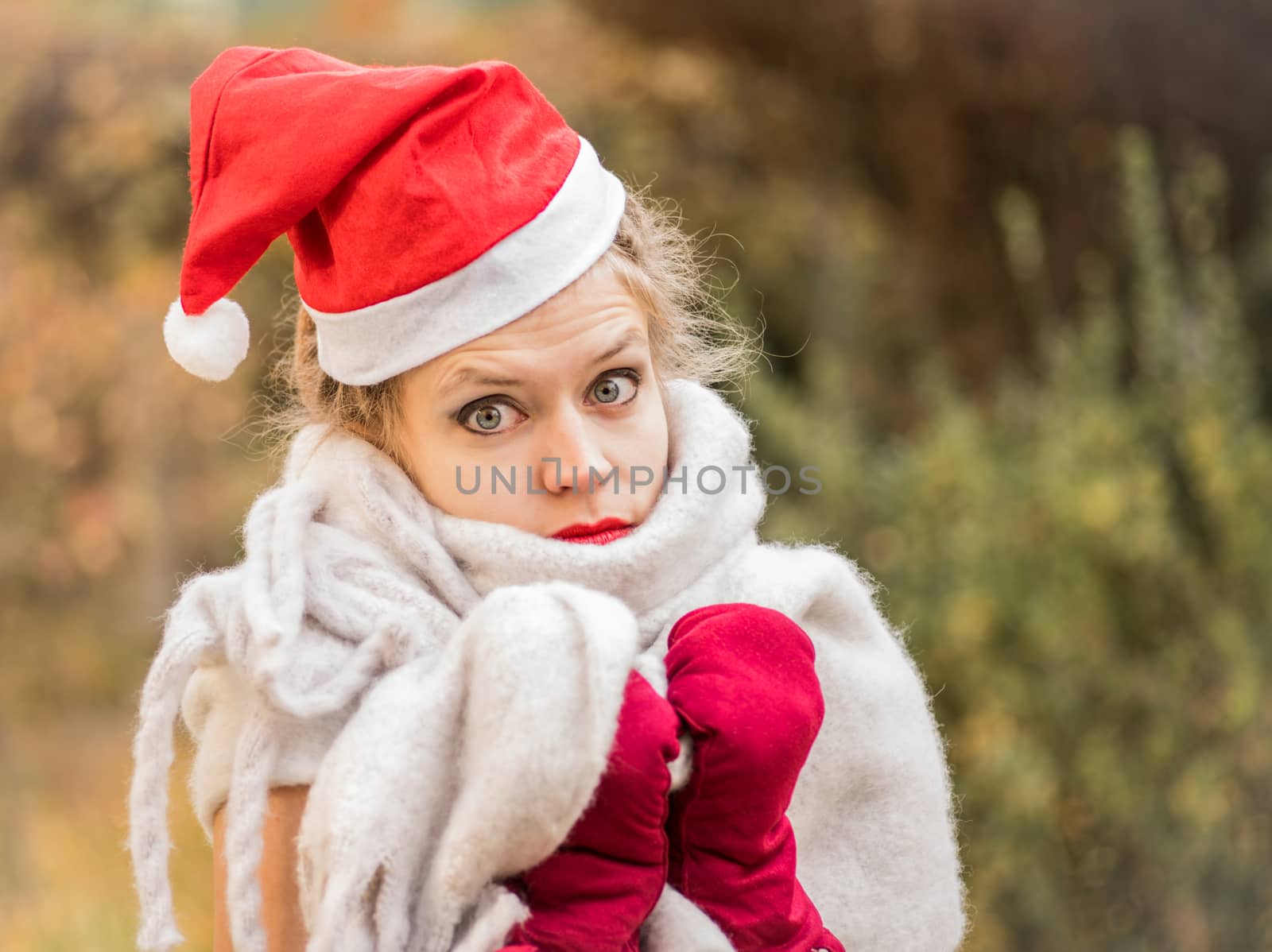 christmas concept. european woman wearing warm scarf and christmas hat