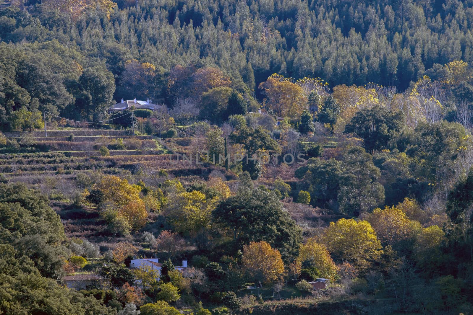 Beautiful view of the autumn season in Monchique region, Portugal.