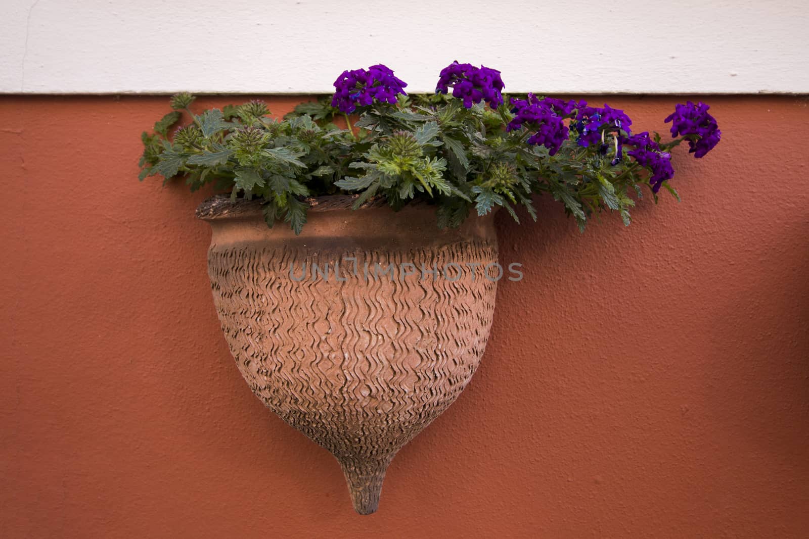 Original ceramic flower pot from Monchique village, Portugal.
