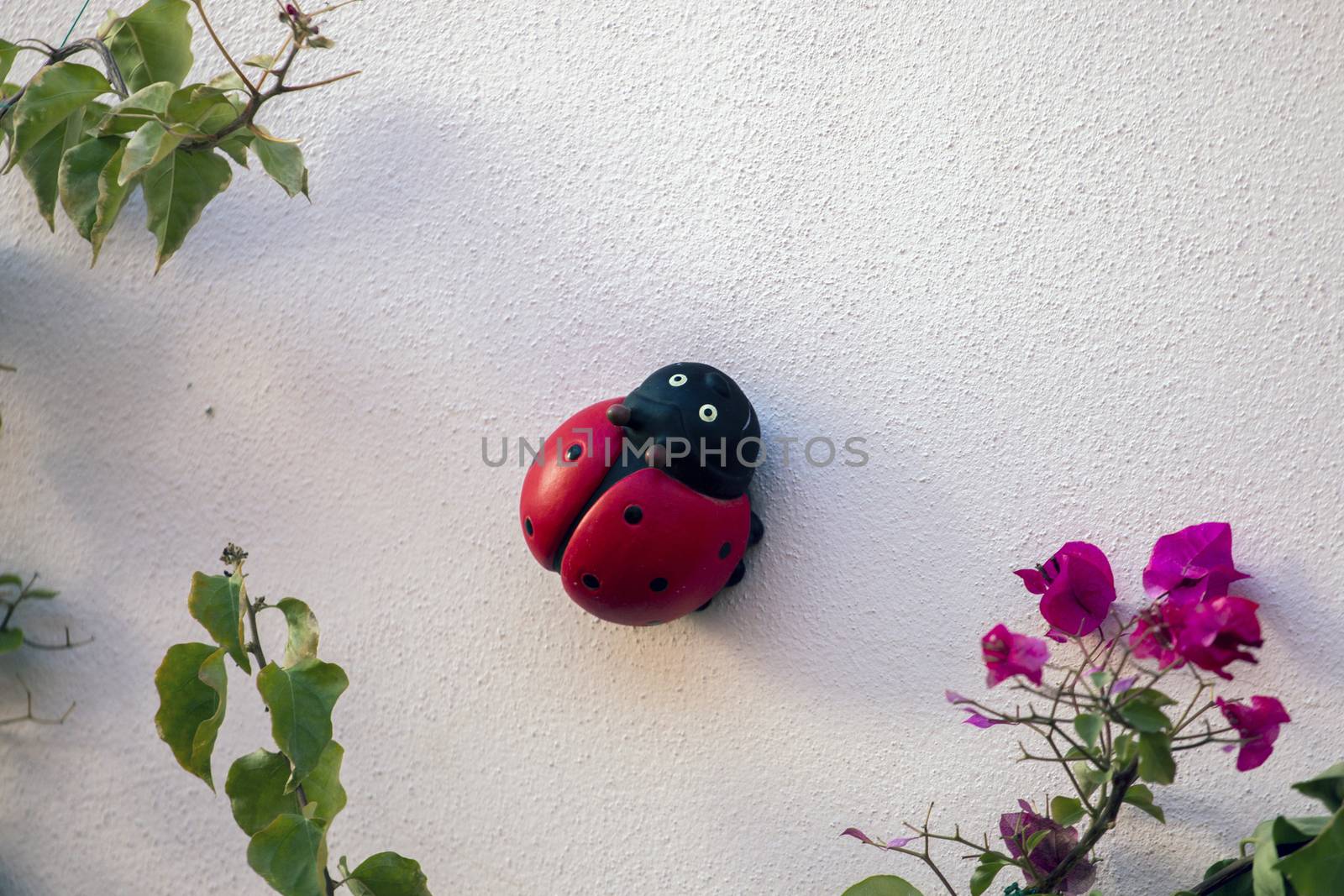 Cute ceramic ladybird insect and bougainvillea plant.