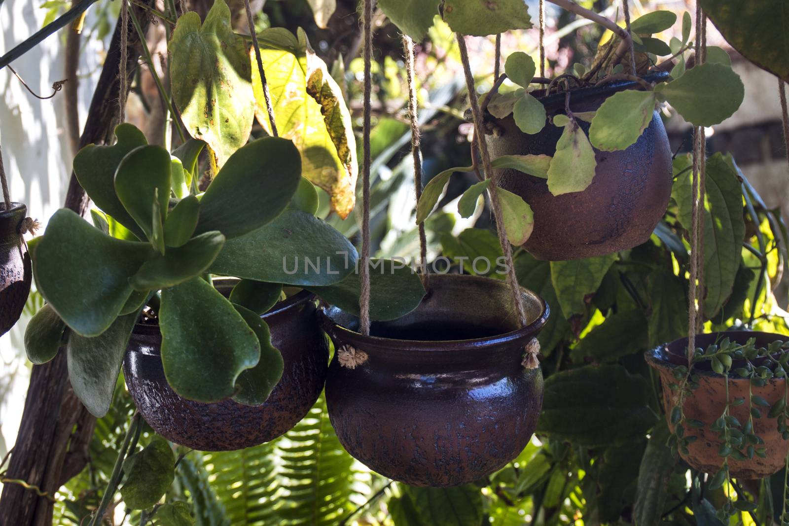 Curious ceramic flower pots on a garden.