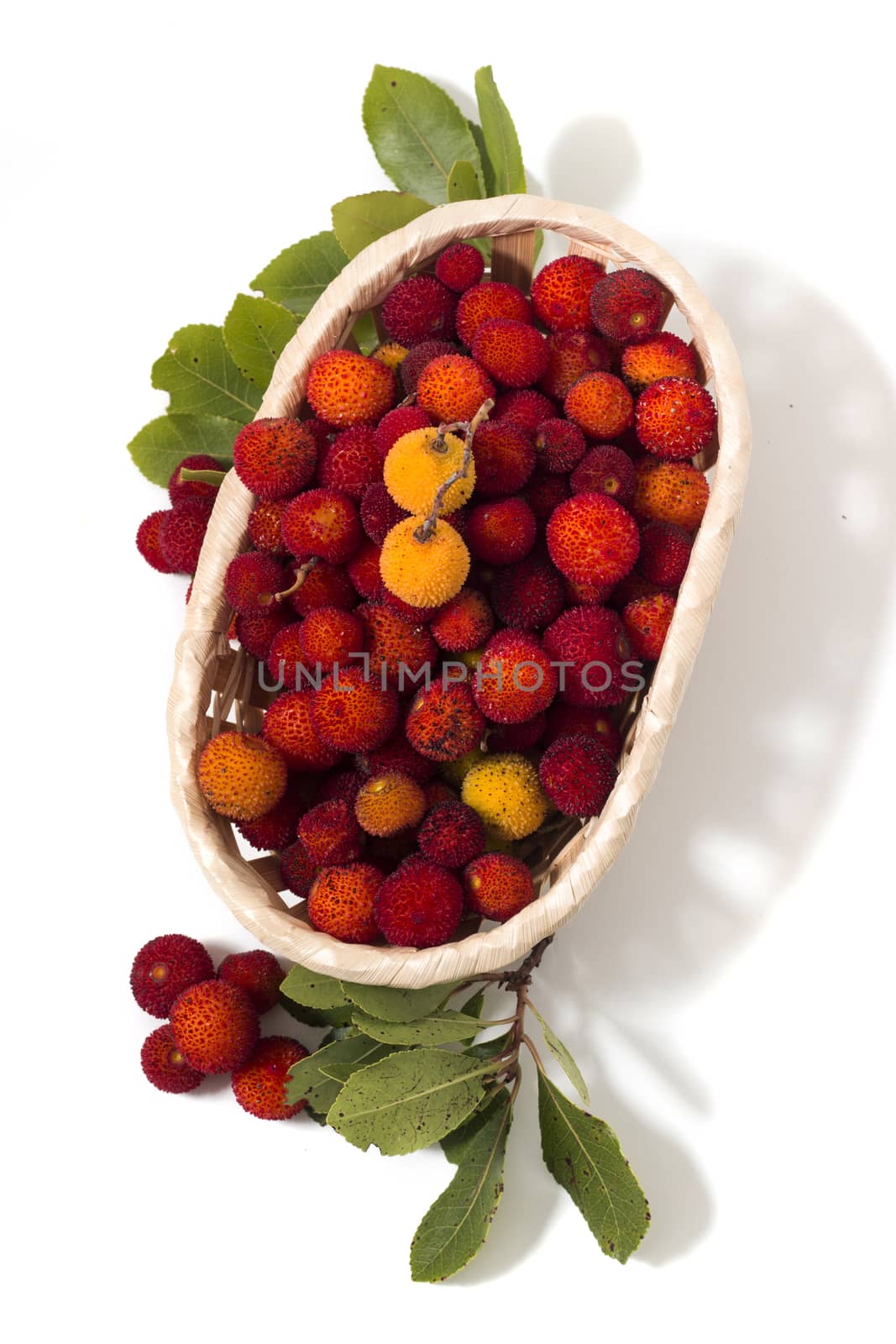 Close up view of strawberry tree (Arbutus Unedo) fruit isolated in white background.