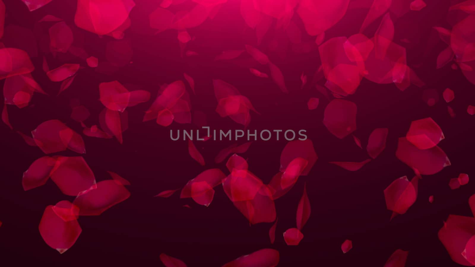 Falling Rose Petals on black background by nolimit046