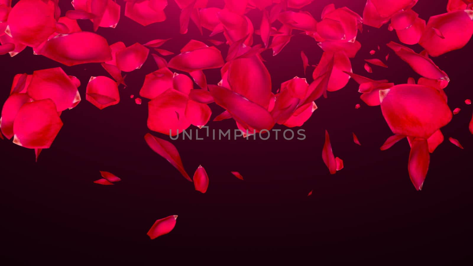 Falling Rose Petals on black background by nolimit046