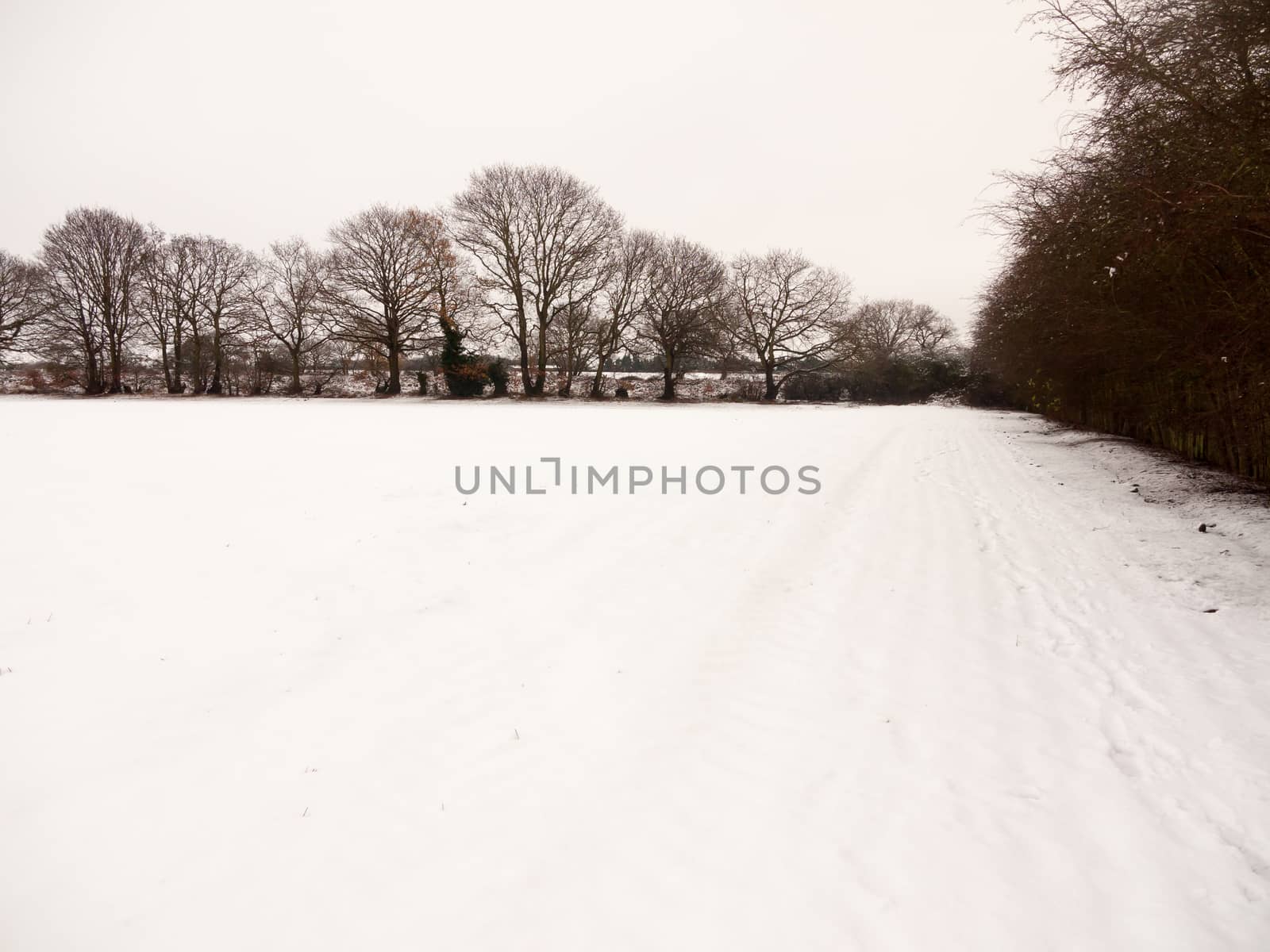 landscape field covered in snow with white sky winter trees bran by callumrc