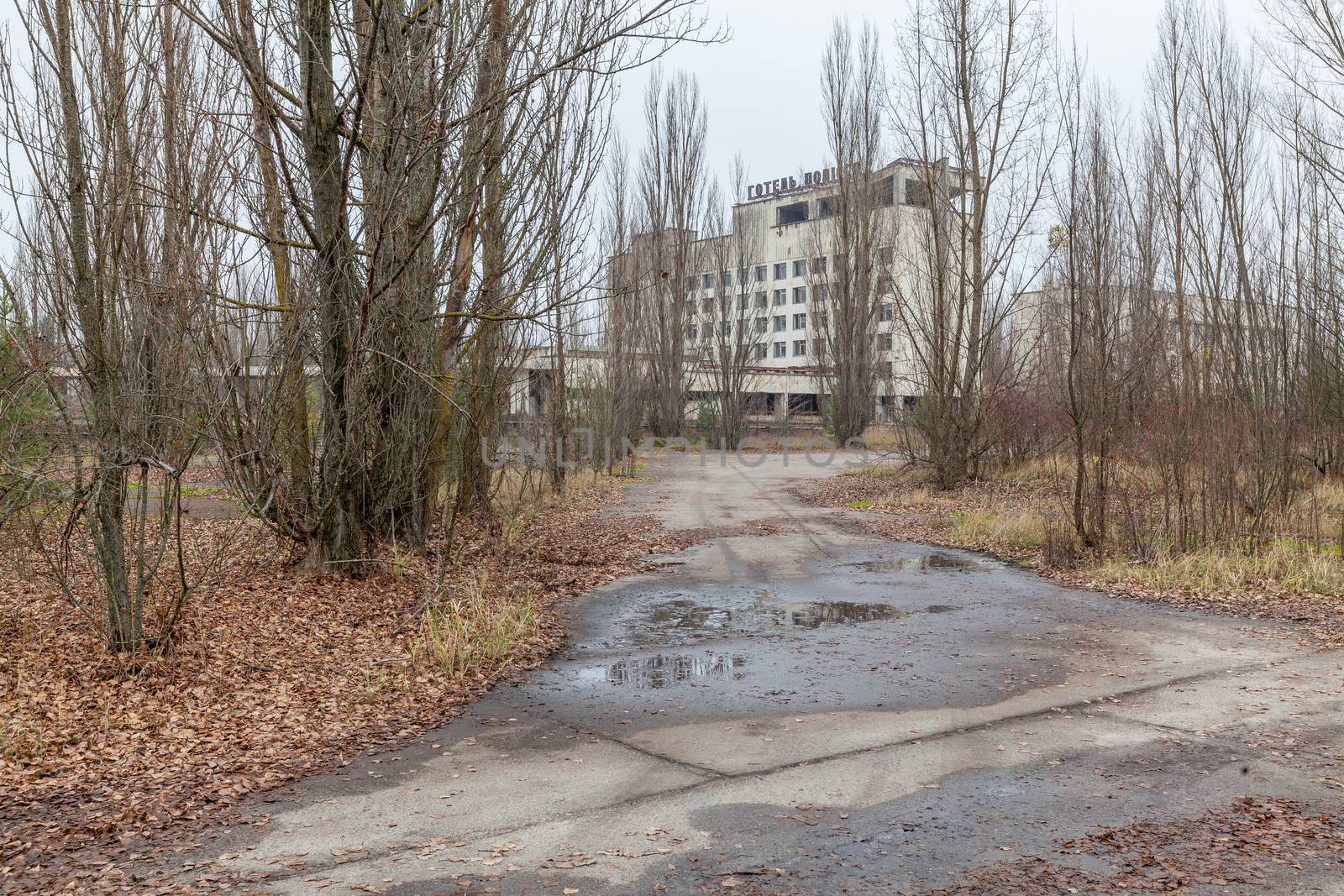 Abandoned buildings in overgrown ghost city Pripyat near Chernobyl nuclear power plant in Ukraine.