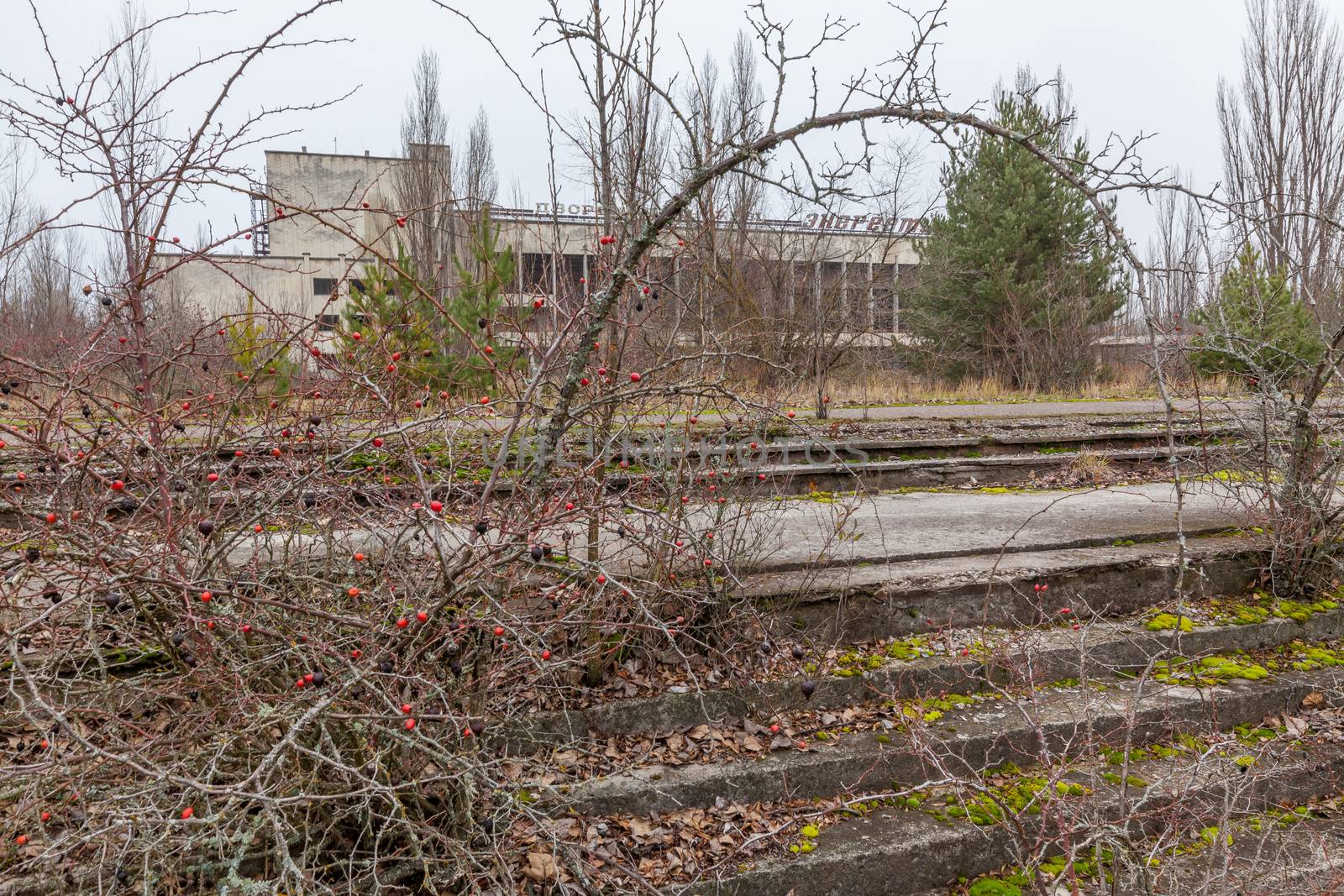 Abandoned buildings in overgrown ghost city Pripyat near Chernobyl nuclear power plant in Ukraine.