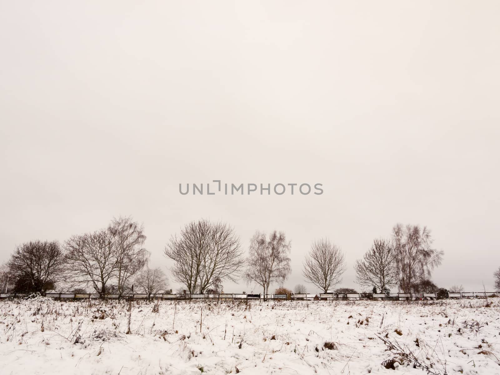 snow covered field outside line of trees and fence landscape sid by callumrc